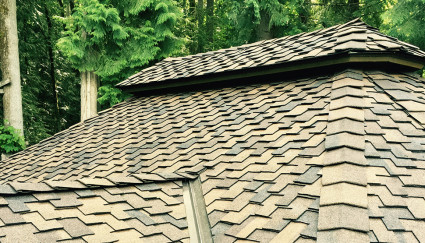 Cedar Shake Roofing