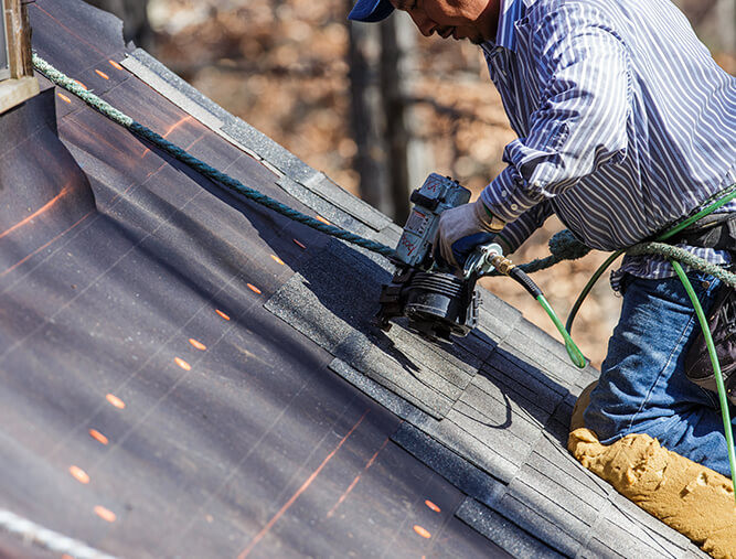 roof expert